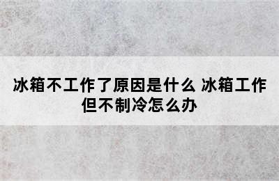 冰箱不工作了原因是什么 冰箱工作但不制冷怎么办